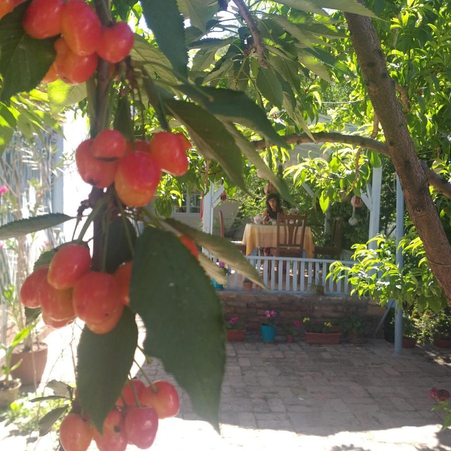 Antica Family Guest House Самарканд Экстерьер фото